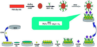 Graphical abstract: Sensitive sandwich electrochemical immunosensor for human chorionic gonadotropin using nanoporous Pd as a label