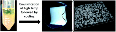 Graphical abstract: High internal phase emulsion gels (HIPE-gels) prepared using food-grade components