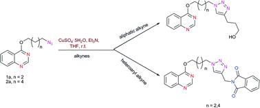 Graphical abstract: Synthesis of medicinally important quinazolines decorated with 1,4-disubstituted-1,2,3-triazoles using CuSO4·5H2O–Et3N catalytic system