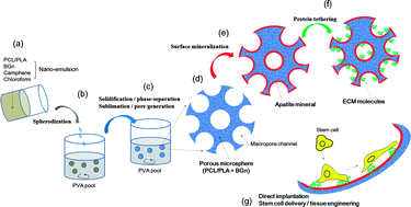 Graphical abstract: Bioactive and porous-structured nanocomposite microspheres effective for cell delivery: a feasibility study for bone tissue engineering