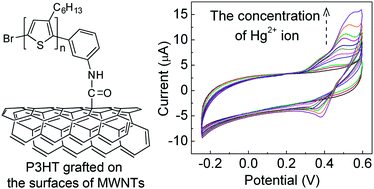 Graphical abstract: Enhanced electrochemical response for mercury ion detection based on poly(3-hexylthiophene) hybridized with multi-walled carbon nanotubes