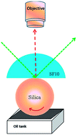 Graphical abstract: Total internal reflection Raman spectroscopy of poly(alpha-olefin) oils in a lubricated contact