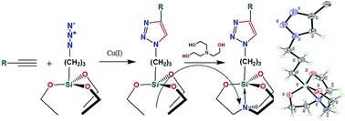 Graphical abstract: Design and syntheses of novel fluorescent organosilicon-based chemosensors through click silylation: detection of biogenic amines