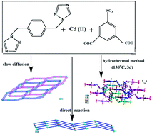 Graphical abstract: Tuning cadmium coordination architectures using 1,4-bis(1,2,4-triazol-1-ylmethyl)benzene and sulfoisophthalate