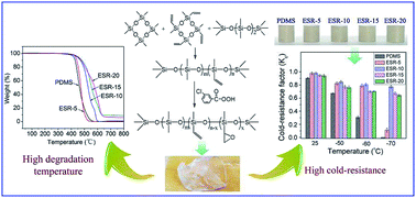 Graphical abstract: Design and synthesis of non-crystallizable, low-Tg polysiloxane elastomers with functional epoxy groups through anionic copolymerization and subsequent epoxidation