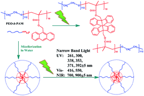 Graphical abstract: The photodimerization characteristics of anthracene pendants within amphiphilic polymer micelles in aqueous solution