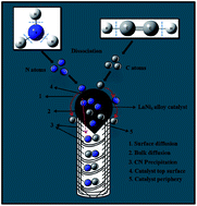 Graphical abstract: Lanthanum nickel alloy catalyzed growth of nitrogen-doped carbon nanotubes by chemical vapor deposition