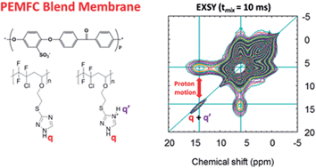 Graphical abstract: Anhydrous proton motion study by solid state NMR spectroscopy in novel PEMFC blend membranes composed of fluorinated copolymer bearing 1,2,4-triazole functional groups and sPEEK