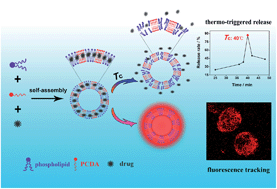 Graphical abstract: Multifunctional polydiacetylene-liposome with controlled release and fluorescence tracing