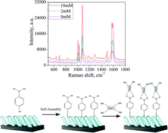 Graphical abstract: Functionalized aligned silver nanorod arrays for glucose sensing through surface enhanced Raman scattering