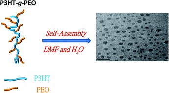 Graphical abstract: Synthesis and self-assembly of water-soluble polythiophene-graft-poly(ethylene oxide) copolymers