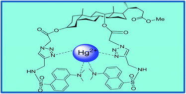 Graphical abstract: A novel dansyl-appended bile acid receptor for preferential recognition of Hg2+