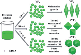 Graphical abstract: Shape-selective synthesis, characterization and upconversion improvement of Yb3+/Er3+ doped LiYF4 microphosphors through pH tuning