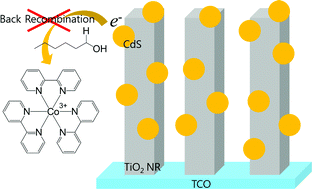 Graphical abstract: Role of HA additive in quantum dot solar cell with Co[(bpy)3]2+/3+-based electrolyte