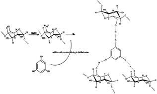 Graphical abstract: Phloroglucinol-encapsulated starch biopolymer: preparation, antioxidant and cytotoxic effects on HepG2 liver cancer cell lines