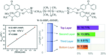 Graphical abstract: Hydrosoluble hybrid and multifunctional polysiloxane-based photoinitiators for initiating gradient photopolymerization of acrylamide aqueous solution