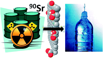 Graphical abstract: Highly selective uptake of Ba2+ and Sr2+ ions by graphene oxide from mixtures of IIA elements