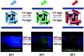 Graphical abstract: Light-induced wide range color switching of liquid crystal blue phase doped with hydrogen-bonded chiral azobenzene switches