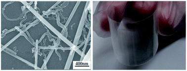 Graphical abstract: The in situ growth of silver nanowires on multi-walled carbon nanotubes and their application in transparent conductive thin films