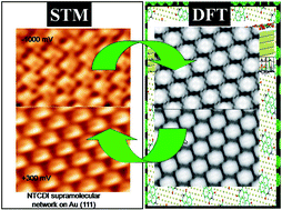 Graphical abstract: Characterization of NTCDI supra-molecular networks on Au(111); combining STM, IR and DFT calculations