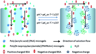 Graphical abstract: Temperature- and pH-responsive properties of poly(vinylidene fluoride) membranes functionalized by blending microgels