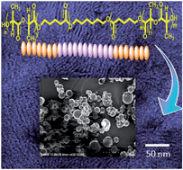 Graphical abstract: Nanolamellar triblock of poly-d,l-lactide–δ-valerolactone–d,l-lactide with tuneable glass transition temperature and crystallinity for use as a drug-delivery vesicle