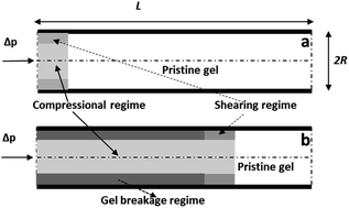 Graphical abstract: Mechanism of pressure propagation and weakly compressible homogeneous and heterogeneous thixotropic gel breakage to study flow restart