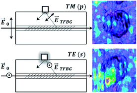 Graphical abstract: Polarization-selective excitation of plasmonic resonances in silver nanocube random arrays by optical fiber cladding mode evanescent fields