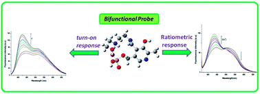Graphical abstract: Vitamin B6 cofactor based fluorescent probe for sensing an anion (F−) and cation (Co2+) independently in a pure aqueous medium