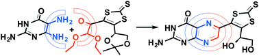 Graphical abstract: A regioselective synthesis of the dephospho ditholene protected molybdopterin