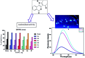 Graphical abstract: Fluorescent and antioxidant studies of effectively synthesized isochromenopyrrolone analogues
