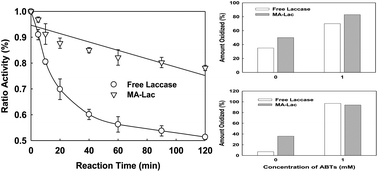 Graphical abstract: Degradation of acenaphthylene and anthracene by chemically modified laccase from Trametes versicolor