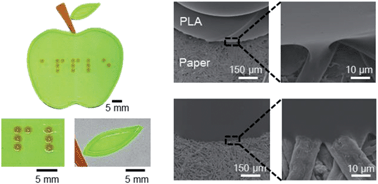 Graphical abstract: 3D printed tactile pattern formation on paper with thermal reflow method