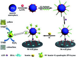 Graphical abstract: An ultrasensitive colorimetric aptasensor for ATP based on peptide/Au nanocomposites and hemin–G-quadruplex DNAzyme