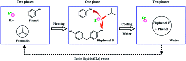 Graphical abstract: The efficient hydroxyalkylation of phenol with formaldehyde to bisphenol F over a thermoregulated phase-separable reaction system containing a water-soluble Brønsted acidic ionic liquid