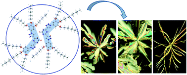 Graphical abstract: Bent-core luminescent and electroactive bis(triazolyl)triazines with compact columnar mesomorphism