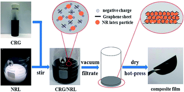 Graphical abstract: Fabrication of natural rubber nanocomposites with high graphene contents via vacuum-assisted self-assembly