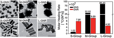 Graphical abstract: Understanding the photothermal effect of gold nanostars and nanorods for biomedical applications