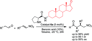 Graphical abstract: Epiandrosterone-derived prolinamide as an efficient asymmetric catalyst for Michael addition reactions of aldehydes to nitroalkenes