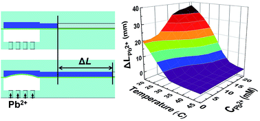 Graphical abstract: Visual detection of lead(ii) using a simple device based on P(NIPAM-co-B18C6Am) hydrogel