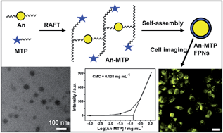 Graphical abstract: Biocompatible fluorescent polymeric nanoparticles based on AIE dye and phospholipid monomers