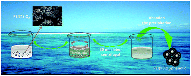 Graphical abstract: PEI@SiO2: synthesis from diatomite and application for capturing phenolic compounds from aqueous solution