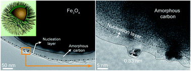 Graphical abstract: Recyclable chestnut-like Fe3O4@C@ZnSnO3 core–shell particles for the photocatalytic degradation of 2,5-dichlorophenol