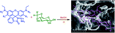 Graphical abstract: Synthesis, characterization and gelation studies of a novel class of rhodamine based N-glycosylamines