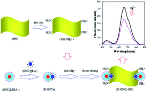Graphical abstract: Synthesis of double gold nanoclusters/graphene oxide and its application as a new fluorescence probe for Hg2+ detection with greatly enhanced sensitivity and rapidity