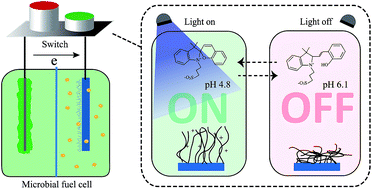 Graphical abstract: ON/OFF states of a microbial fuel cell controlled by an optical switching system