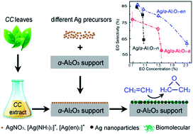 Graphical abstract: Biosynthesized Ag/α-Al2O3 catalyst for ethylene epoxidation: the influence of silver precursors