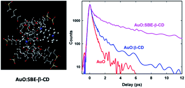 Graphical abstract: Dynamics under confinement: torsional dynamics of Auramine O in a nanocavity