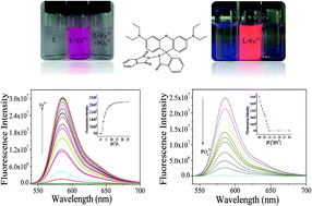 Graphical abstract: Cascade OFF–ON–OFF fluorescent probe: dual detection of trivalent ions and phosphate ions