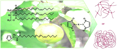 Graphical abstract: Two alternative approaches to the Diels–Alder polymerization of tung oil